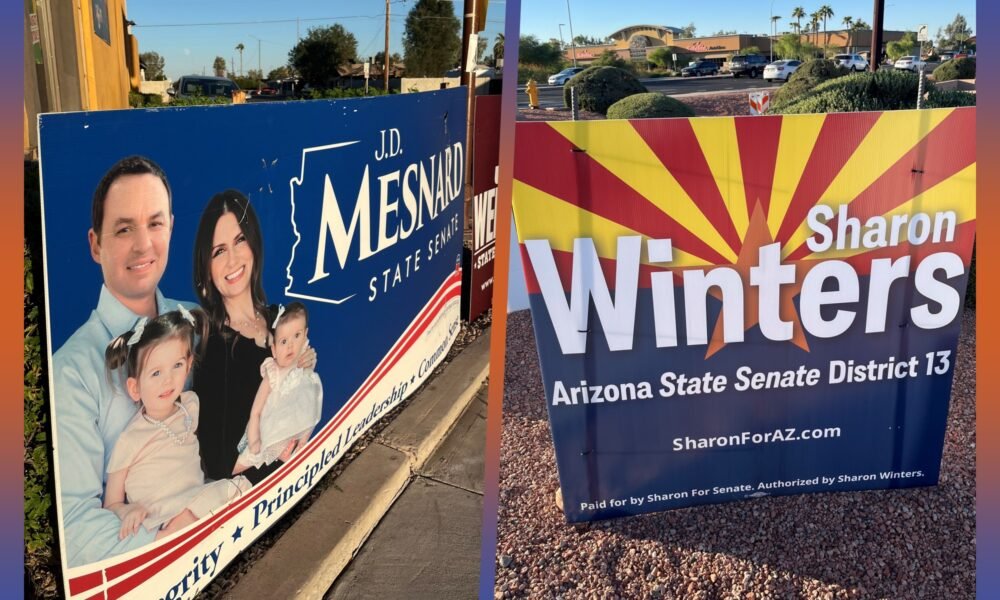 Democratic newcomer challenges experienced GOP senator in pivotal Chandler district