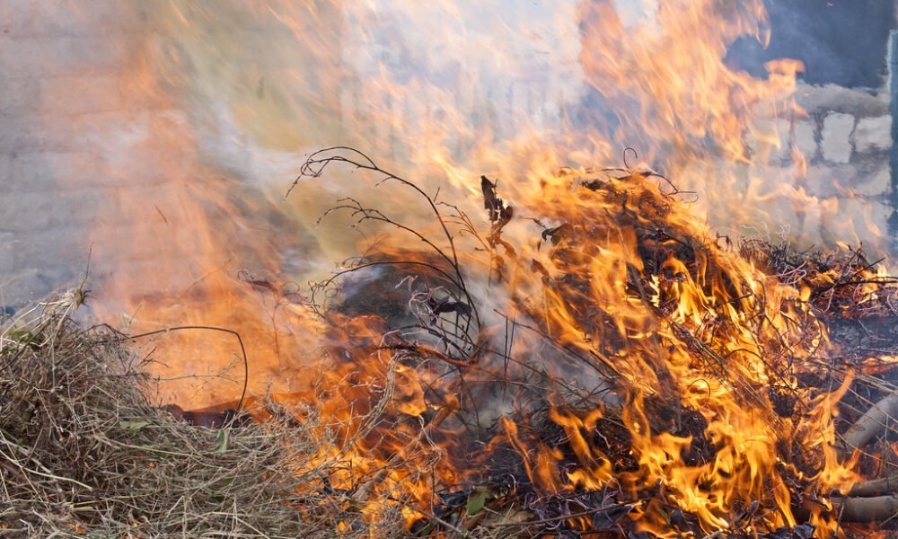 An image of landscape waste burning in a yard. [zeevveez/Flickr]