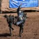 After 2022, tribal involvement in the Arizona’s State Fair’s Native American Rodeo waned