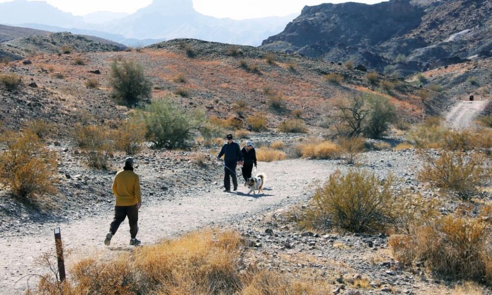 Havasu preps for the unveiling of SARA Park rock snake, Rockette