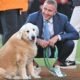 Kirk Herbstreit's viral sensation dog, Ben, has passed away after battling cancer