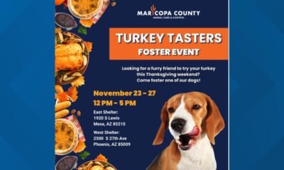 Maricopa County animal shelter hosts third annual 'Turkey Tasters' event