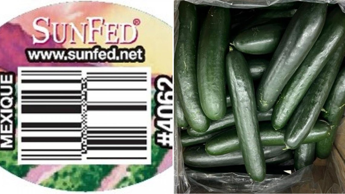 Arizona company's cucumbers recalled because of salmonella concerns