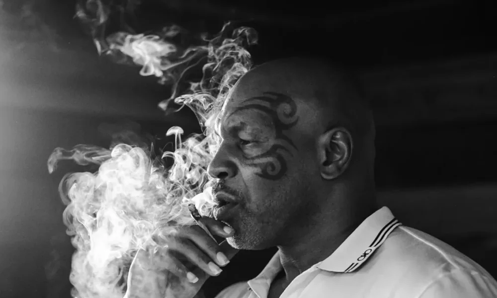 Mike Tyson's cannabis brand returns Arizona ahead of Jake Paul fight