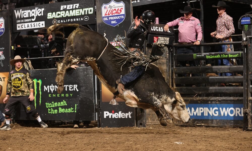 Riders & bulls & bucking — oh my! Bull riding at Tucson Arena