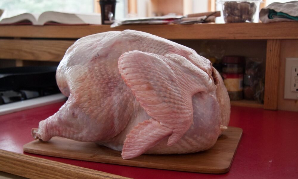 Protect yourself from salmonella this Thanksgiving