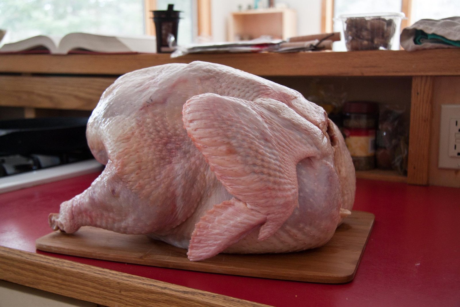 Protect yourself from salmonella this Thanksgiving