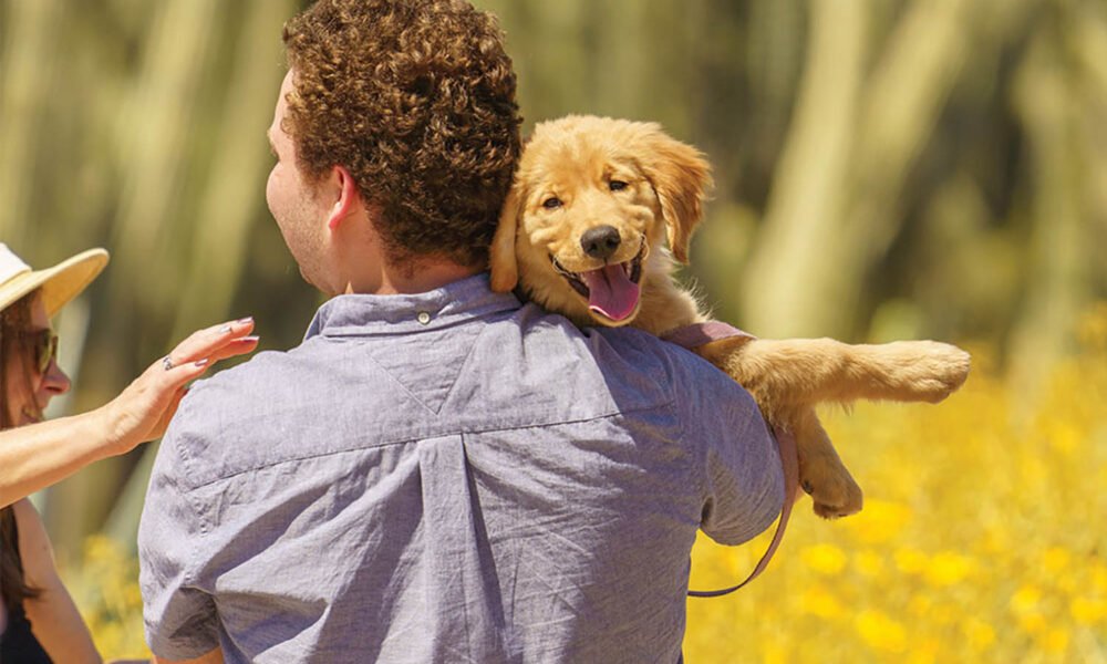 Get outdoors with four-legged friends