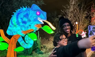 Phoenix ZooLights holiday tradition opens tonight