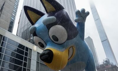 'Bluey' llegará a la pantalla gigante con una película que está en camino