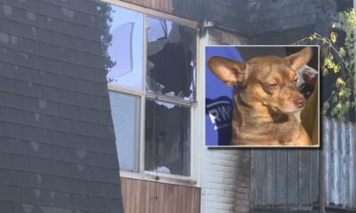 Woman, dog jump from second story apartment window to escape fire