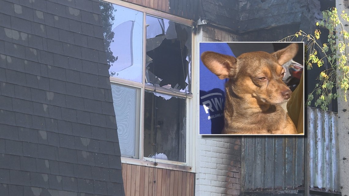 Woman, dog jump from second story apartment window to escape fire