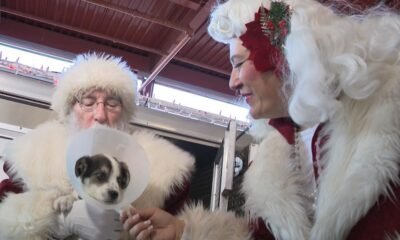 Puppies taken to their new home in Arizona with Santa's help