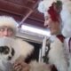 Puppies taken to their new home in Arizona with Santa's help