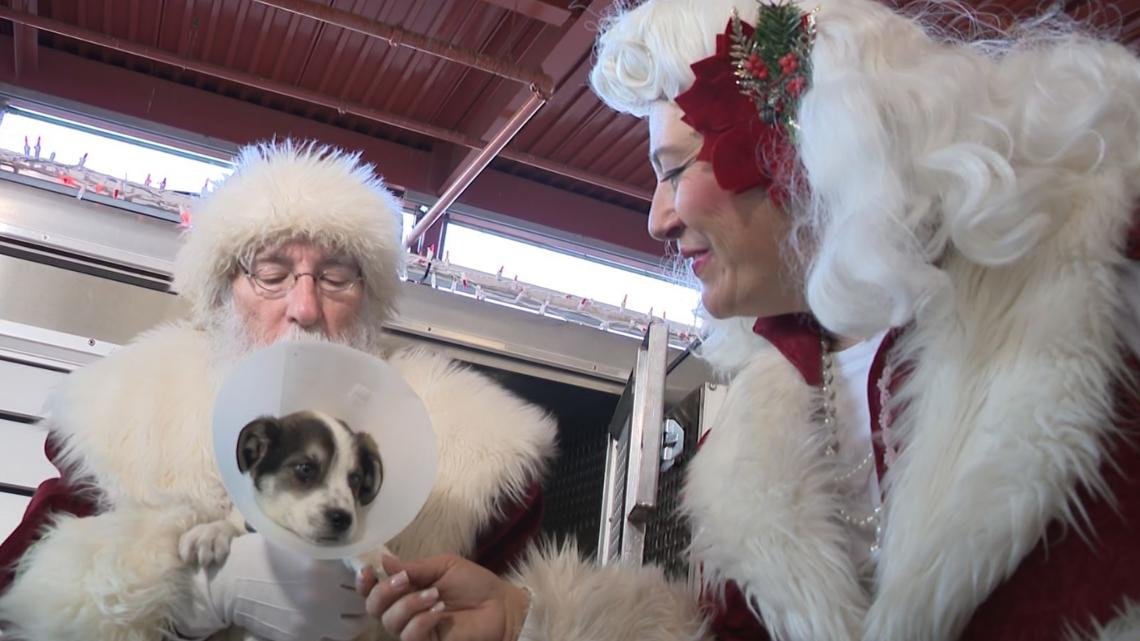 Puppies taken to their new home in Arizona with Santa's help