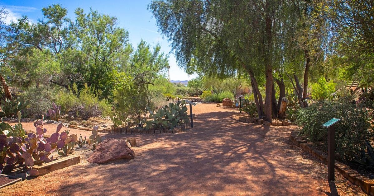 Cattail Cove, Lake Havasu state parks continue First Day Hikes for park guests