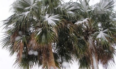 Today marks 10 years since snowy New Year's Eve in Havasu; This year to be warm