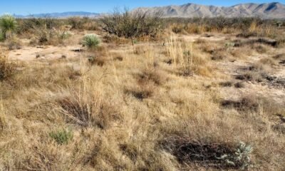 Arizona moves to regulate rural groundwater pumping near Willcox