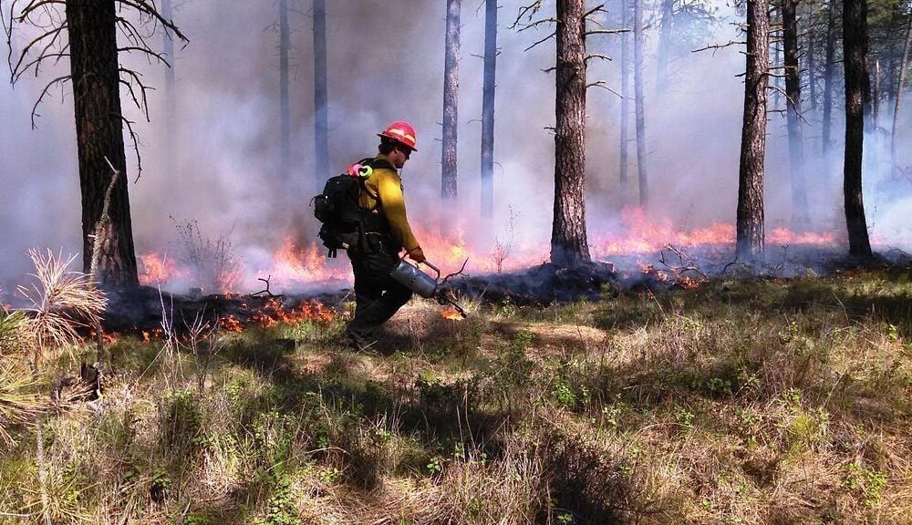 BLM recruiting seasonal emergency wildland firefighters