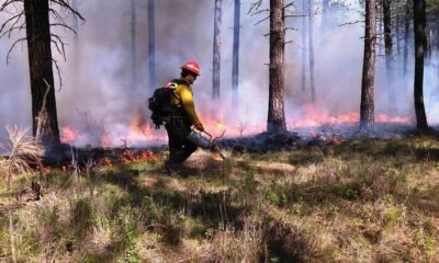 BLM recruiting seasonal emergency wildland firefighters