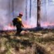 BLM recruiting seasonal emergency wildland firefighters