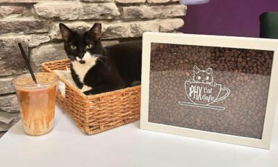 Cafe celebrates cats, coffee and community