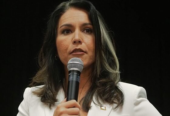 Tulsi Gabbard