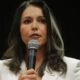 Tulsi Gabbard