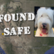 Deaf dog stolen in Alabama found a year later in Maricopa