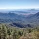 Hundreds of trees found cut near Madera Canyon