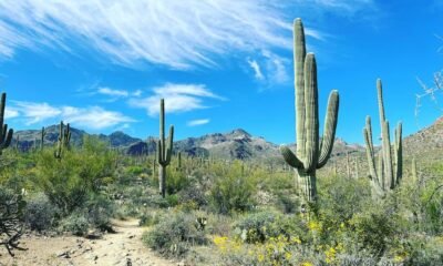 Pima CAN! — County touts coming Climate Action Now site