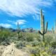 Pima CAN! — County touts coming Climate Action Now site