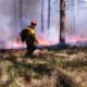 Wildland firefighter pay raises could vanish without action by Congress within days