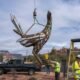 ‘Beep! Beep!’ Roadrunner lands on SR 179 