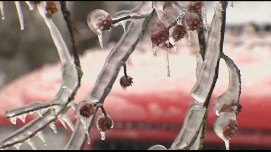 Today in History: Part of Arizona got as cold as -40 degrees