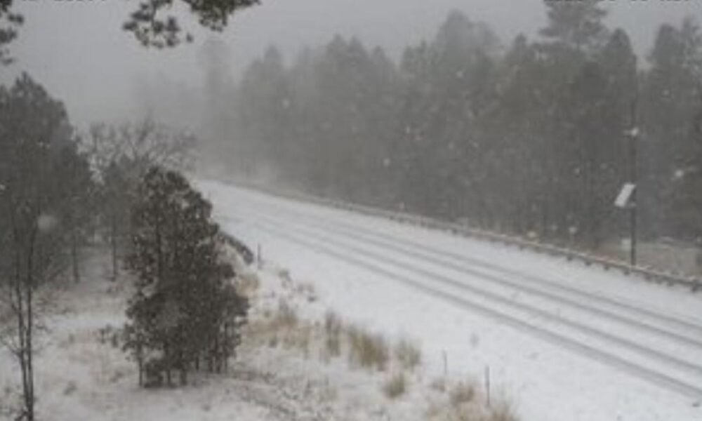 Snow blankets SR87 in Arizona