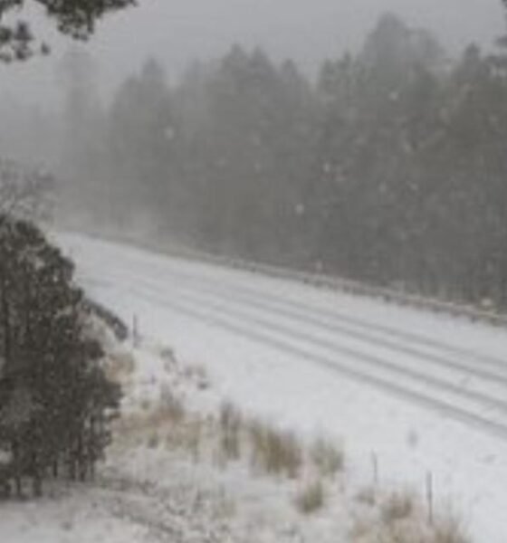 Snow blankets SR87 in Arizona