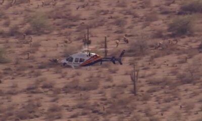 Northbound SR-87 reopens after road rage incident left it closed for hours