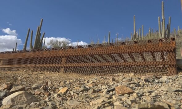 No more hidden hazards: Saguaro National Park completes project sealing 150 abandoned copper mines