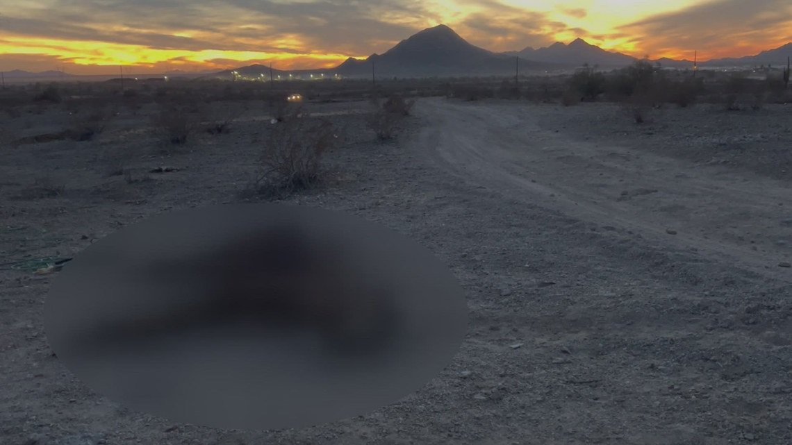 'It’s inhumane': Dead horses and several other animals found scattered in West Valley desert