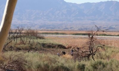 Topock Marsh receives another $20 million to address water level issues