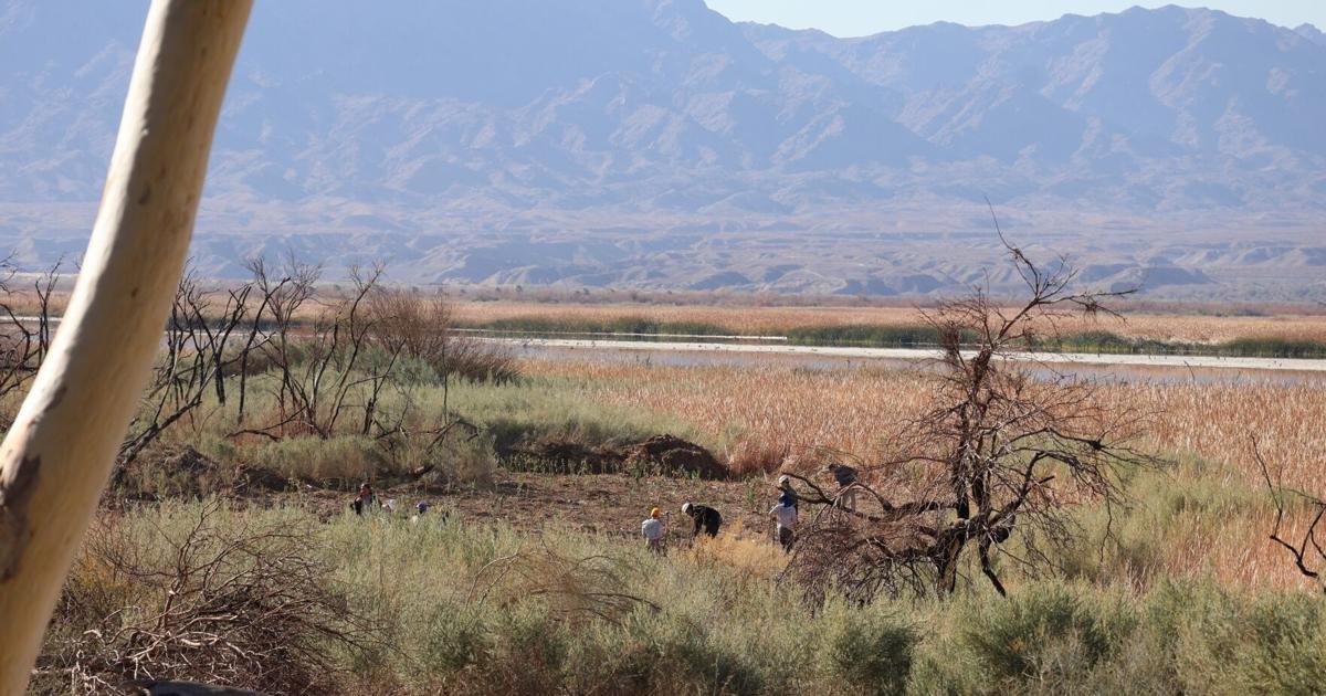 Topock Marsh receives another $20 million to address water level issues