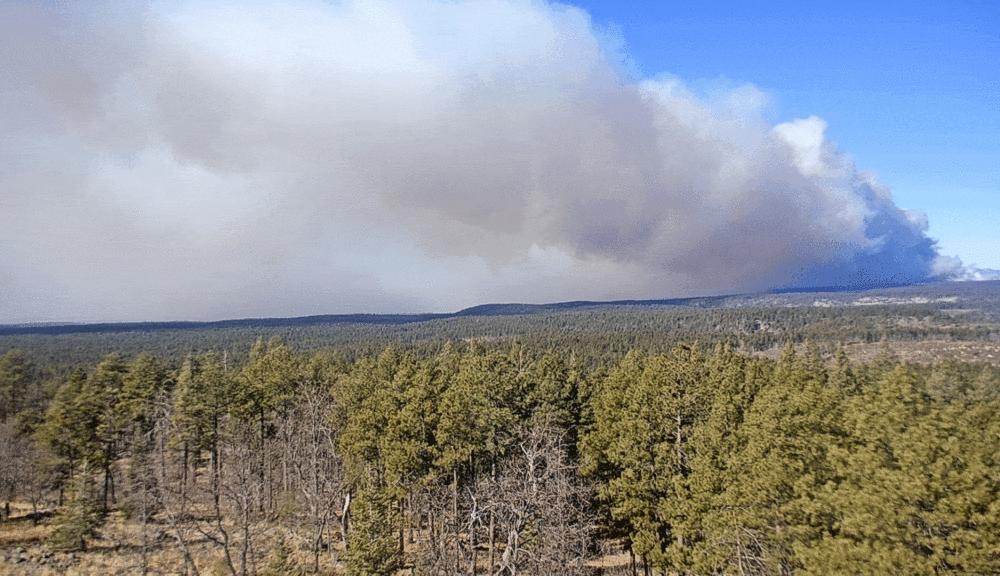 Crater Sinks Prescribed Burn targets 1,700 acres 13 miles north of Sedona