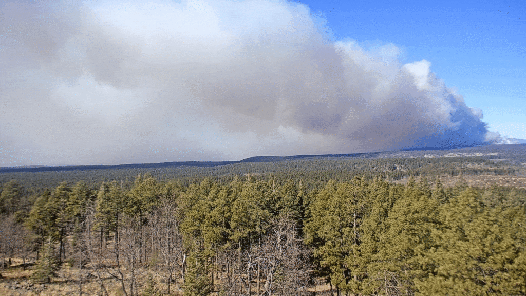 Crater Sinks Prescribed Burn targets 1,700 acres 13 miles north of Sedona