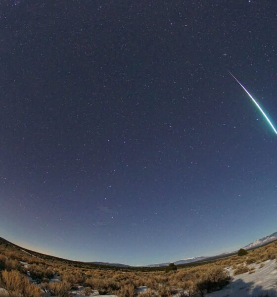 A meteor from the 2020 Quadrantids meteor shower flies across the night sky. [Mike Lewinski]