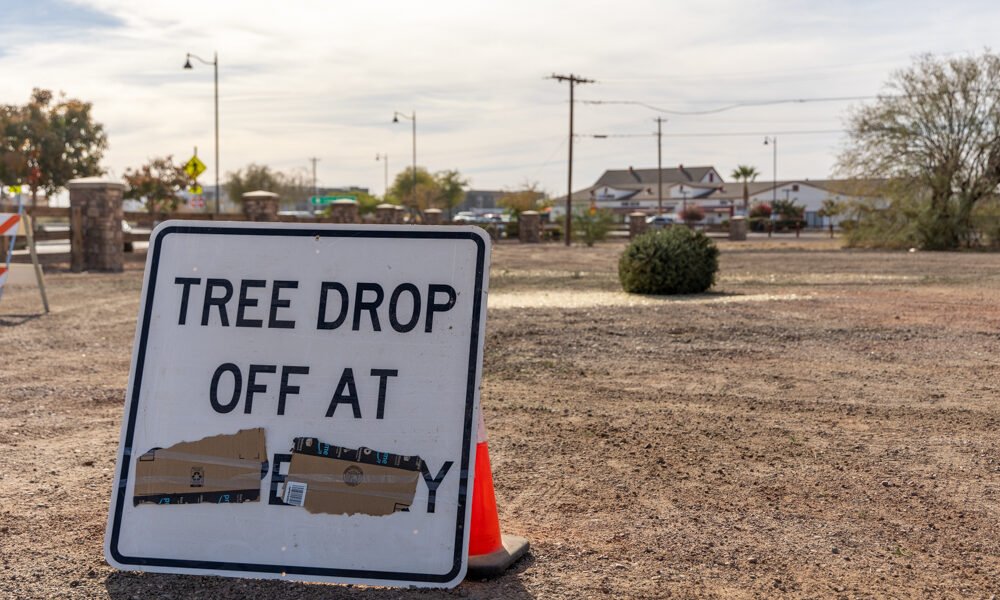 A tree sits at the city's Christmas tree disposal area near Plainview Street and Cesar Chavez Lane Jan. 3, 2025. [Brian Petersheim Jr.]