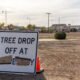 A tree sits at the city's Christmas tree disposal area near Plainview Street and Cesar Chavez Lane Jan. 3, 2025. [Brian Petersheim Jr.]