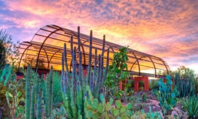 Phoenix Desert Botanical Garden free days: What to know