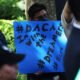 People gather for a rally to celebrate the 10th anniversary of the Deferred Action for Childhood Arrivals program in Battery Park on June 15, 2022, in New York City. (Photo by Michael M. Santiago/Getty Images)