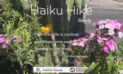 Haiku Hike returns to Downtown Tucson for 6th year, submissions due by Monday